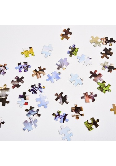 Pazly 1000 Parçalı Büyüleyici Puzzle: Liman, Şehir, Orman Ve Daha Fazlası Diğer Diğer