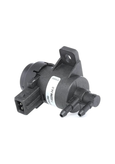 Renault Megane Elektro Vana