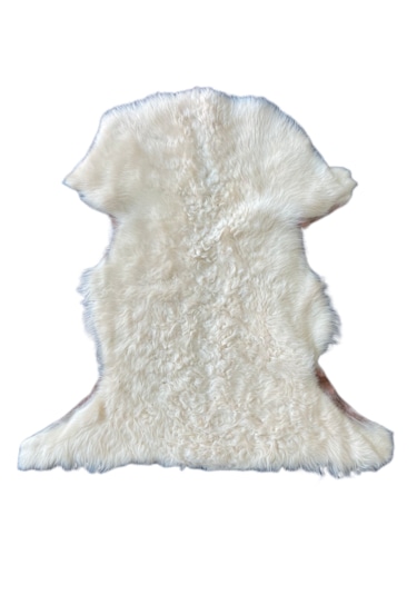 Gerçek Uzun Tüylü Koyun Postu Krem 70x50 Cm