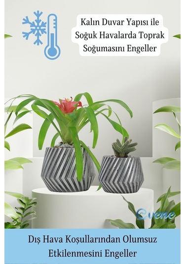 Saksı Çiçek Kaktüs Saksısı Lüx 13 Cm Mekanik Dişli Desen Saksı Çiçeklik - Gümüş Eskitme