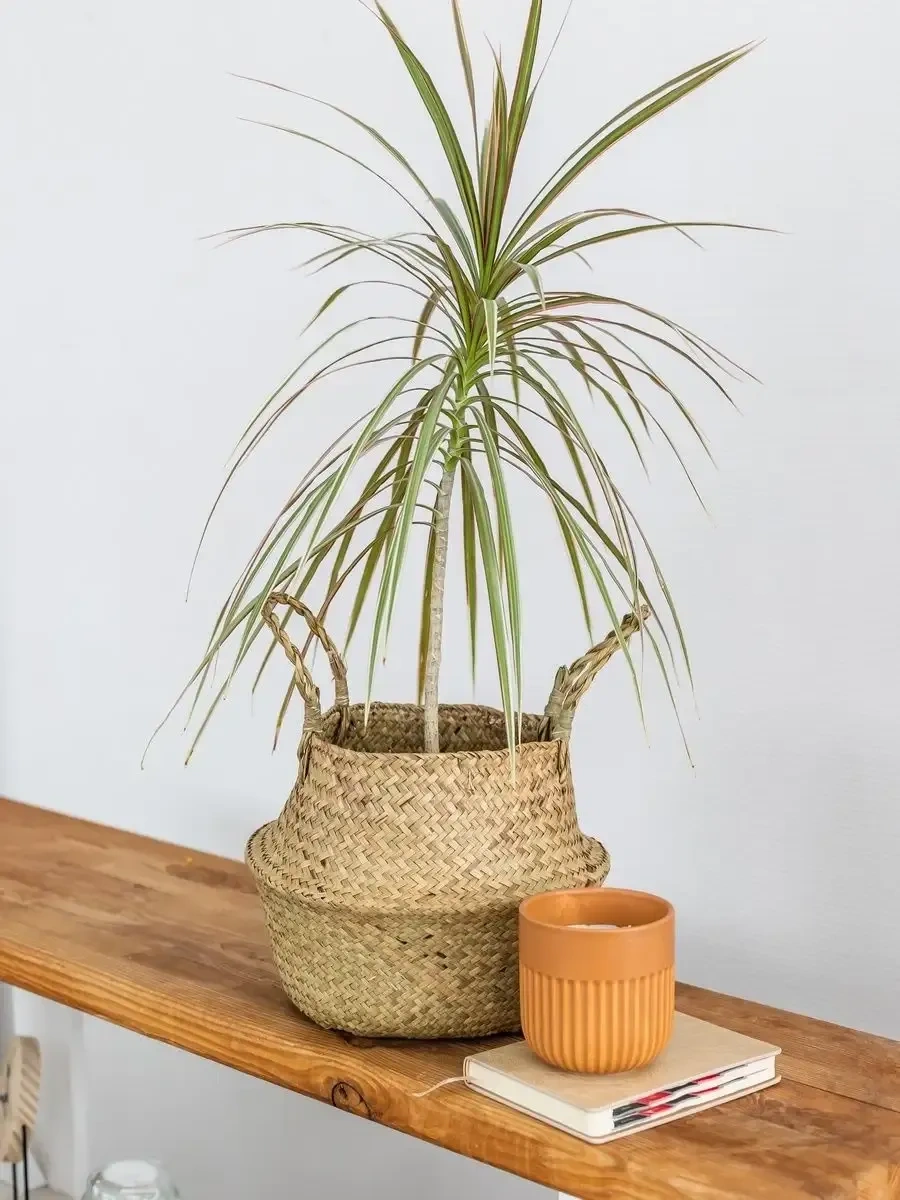 Ekosarm Saplı Küçük Örgülü Örgü Organizer Sepet 158360165 Açık Kum Rengi