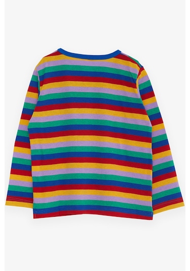 Breeze Erkek Bebek Uzun Kollu Tişört Çizgili 9 Ay-3 Yaş, Karışık Renk Çok Renkli