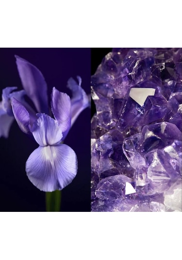 Royal Velvet Sıkılaştırıcı Göz Kremi