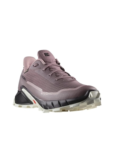 Salomon Alphacross 5 Gtx W Erkek Koşu Ayakkabısı L47311000 001