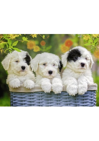 Ravensburger 200 Parça Puzzle Puppies 127658