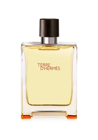 Hermes Terre D'Hermes Erkek Parfüm EDT 200 ML