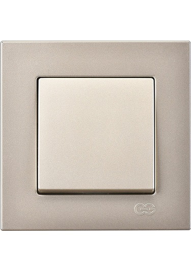 Günsan Eqona Metalik Bej Anahtar