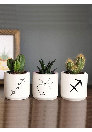 Yay Burcu Sukulent Ve Kaktüs Saksı Seti Yada Masaüstü Kalemlik Hediyelik