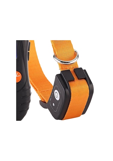 Homyl Köpek Eğitim Tasması Suya Dayanıklı Turuncu