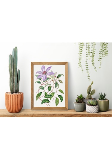 Purple Flower Çerçevesiz Poster "Botanica Serisi"