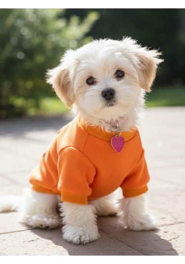 Ice Cream And Cupcakes Köpekler İçin Polar Sweatshirt