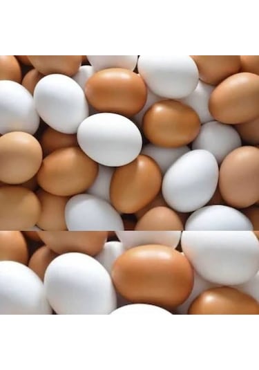Sahte Yumurta 40 Adet Karışık Renk