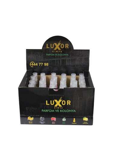 Luxor Kimya 12 Adet 200 Ml Ev & Oto Koku Seti Özel Kutulu