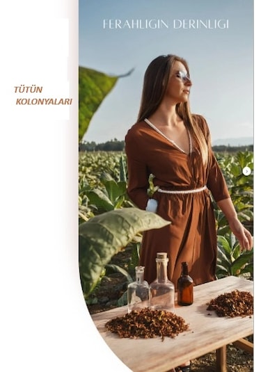 Hunca 80 Derece Tütün Kolonyası 3 x 400 ML