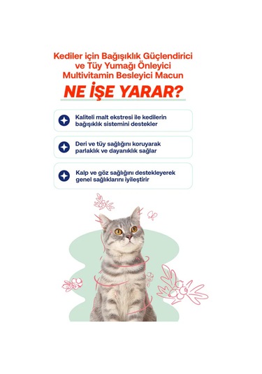 Biofeline Kediler İçin Multivitaminli Malt Macun 100g