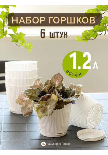 Al' Ternatıva İç Mekan Çiçek Saksıları 414483247