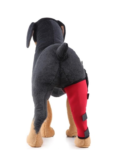 Homyl Köpek Yardımcı Kemer Sağ-arka-bacak-kırmızı-l