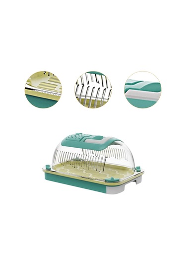 Homyl Terrapin Kaplumbağası Için Sürüngen Teraryumu