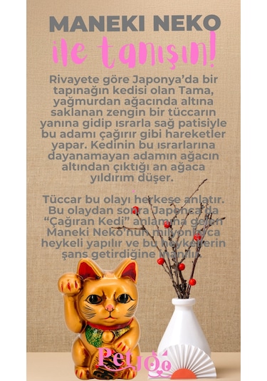 Petjoo 4.Maneki Neko Pembe-Gri Qr'lı Kedi Künyesi
