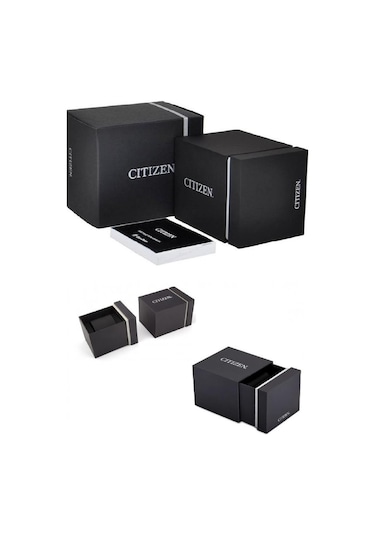 Citizen AW1524-84E Erkek Kol Saati
