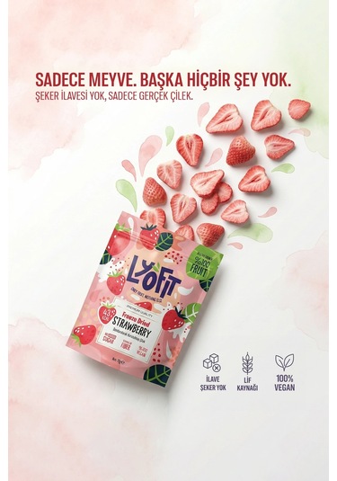Freeze Dried Çilek 12 G