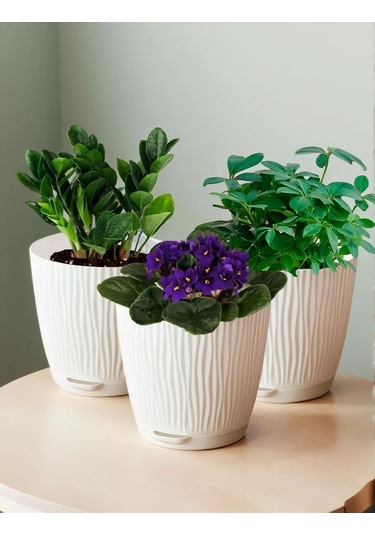 Saburg 1,2 Litre Tablalı Çiçek Saksısı Seti 238358825