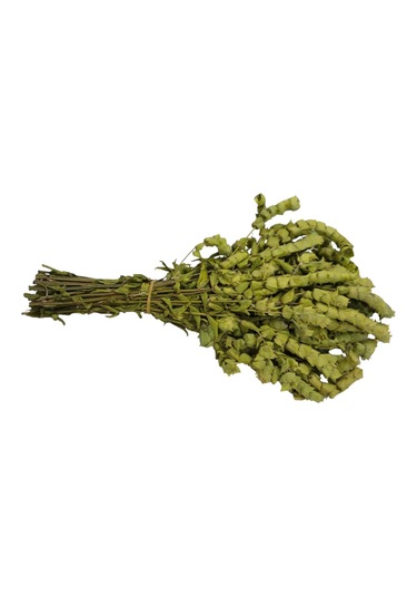 Anamur Adaçayı Demet 150 Gr/35-40 Adet