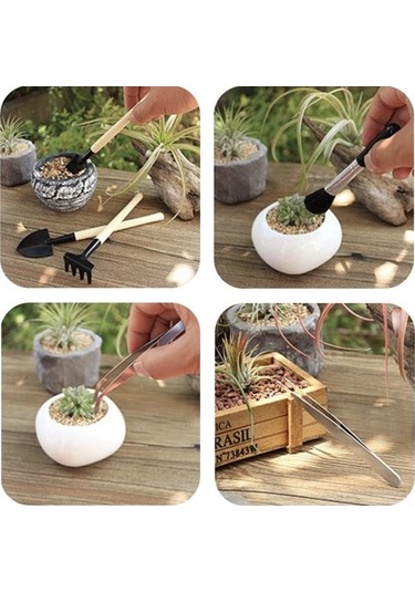 Symbee 14 Parça Çiçek Ve Sukulent Bakımı Seti - Toprak Döşeme, Budama, Sulama Ve Transplante Araçları