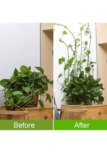 Singree Bitkiler İçin Yapışkanlı Duvar Askısı - 50 Adet Abs Malzeme, Çok Amaçlı Kullanım