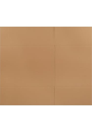 Packanya 30 x 20 x 20 - 10 Adet Çift Oluklu Taşıma Kolisi