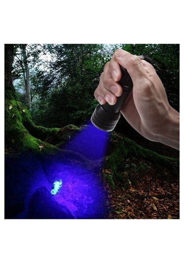 Harry 2 Adet Uv Işınlı 21 Led Ultraviyole Mor Işıklı Metal El Feneri Siyah