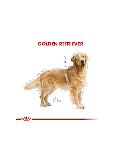 Royal Canin Golden Retriever Yetişkin Köpek Maması 12 KG