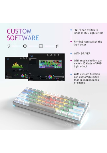Aula F3261 Type-C Kablolu Rgb Mekanik Klavye
