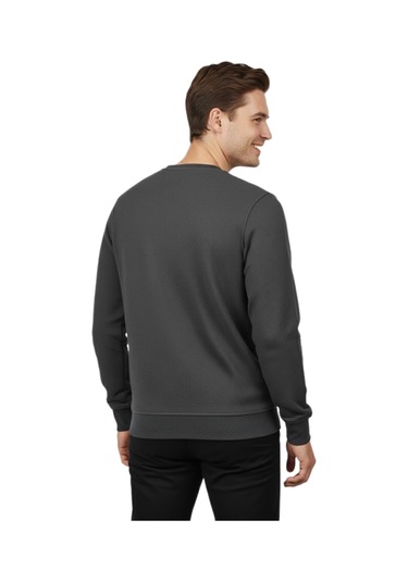 Raymons Erkek Sıfır Yaka Petek Doku Regular Fit Sweatshirt Bgl-st04950 Antrasit