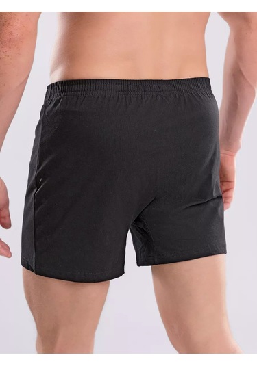 Clever Wear Aile Pamuklu Külotları 12227424 Siyah