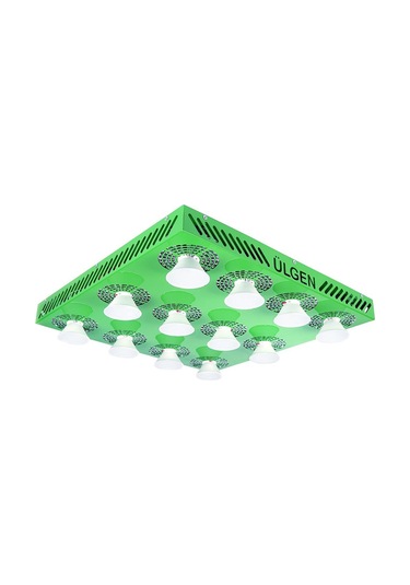 Ülgen 12 320w Grow Led Lamba