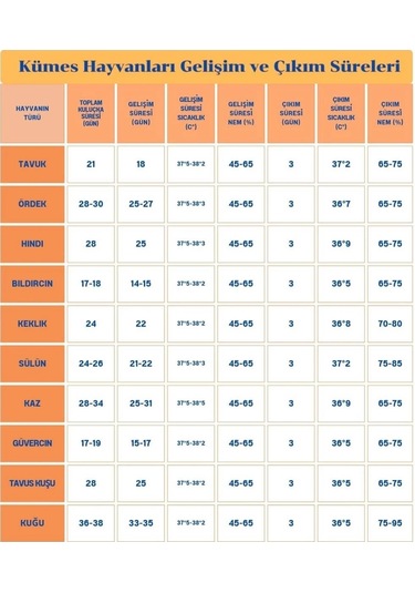Epo-w64 Tam Otomatik Kuluçka Makinesi 64 Yumurta Kapasiteli Civciv Kaz Ördek Uyumlu + Yedek Motor