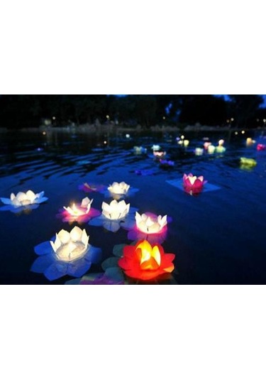 Kenpazar Nilüfer Su Çiçeği Su Feneri