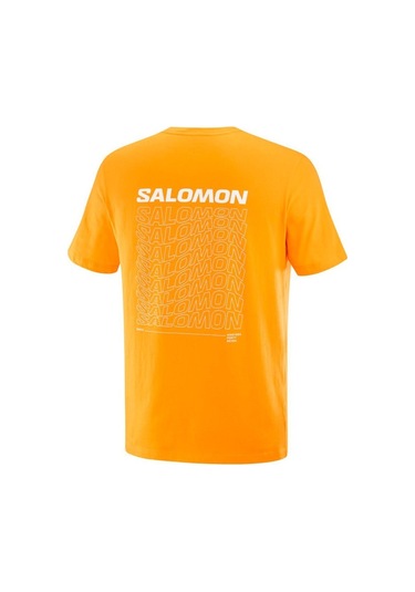 Salomon Graphıc Perf Ss Tee M Zinnia// Koşu T-shırt Lc2219700 001