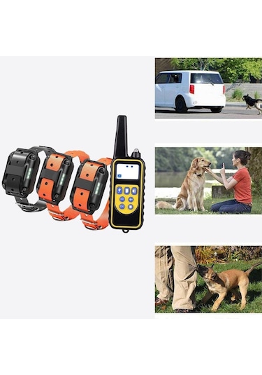 Sellwell Kesoto Köpek Eğitim Şok Yaka 875 Yards Lcd Uzaktan Kumanda