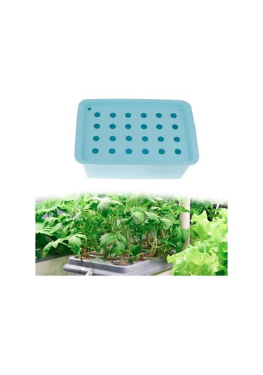 Suntek Parterre Bahçe Marul Mavisi Için 24 Site Fidanlık Mavi