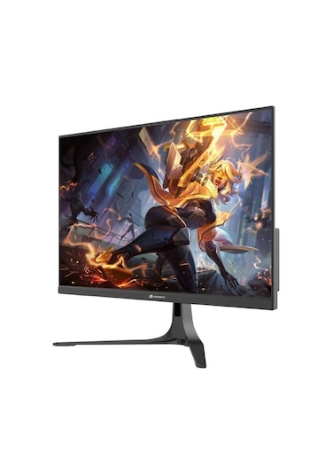 Gamebooster GB-2516FF 24.5" 0.2 MS 165 HZ Advanced TN Panel FHD Gaming Monitör
