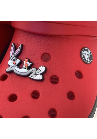 Crocs Terlik Süsü & Renkli Aksesuar Jibbitz (474782410) Çok Renkli