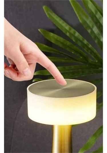 Taşınabilir Şarjlı Masa Lambası Dimmerli Dekoratif Denver Abajur