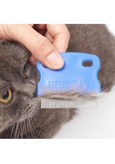 River World Köpekler İçin Pire Tarağı