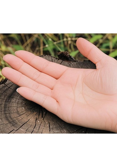 Teltree Titanyum Alkollü Fırın Tutucu, 24.5g Hafif, Gümüş Renk, 96x38mm, Çapraz Dikey Tutucu Gümüş