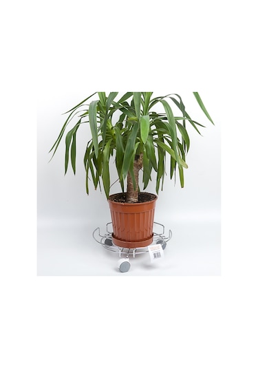 Teknotel Damacana Tüp Saksı Damacana Altlığı Krom Mg052