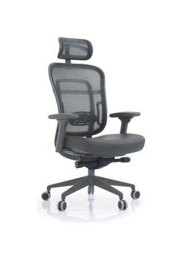 Passion Çalışma Oyuncu Ofis Yönetici Makam Koltuğu