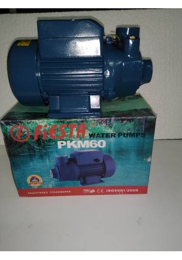 Fiesta Pkm-60 Su Motoru
