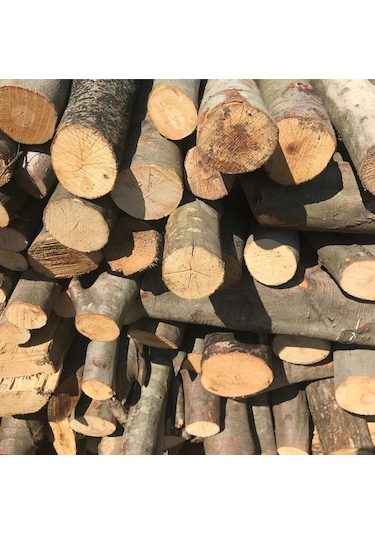 Kuru Fındık Odunu-20 Kg